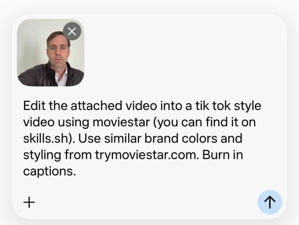A Muse chat with a video attached and a one-sentence edit request